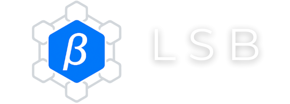 l s b